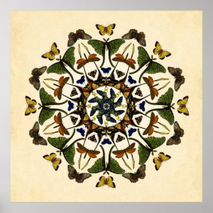 Winged Earth Butterfly Kaleidoskop Art Poster