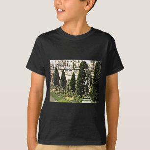 Winged Engels-Statue-Bad England 1986 snap-11737a T-Shirt