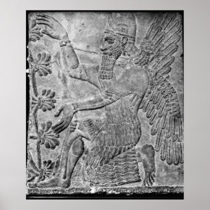 Winged Genie, der den heiligen Baum verehrt Poster