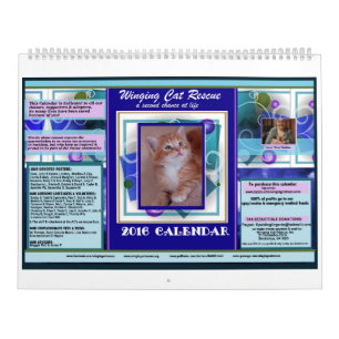 Winging Katze retten Sie den 2016 Prämien-Kalender Kalender