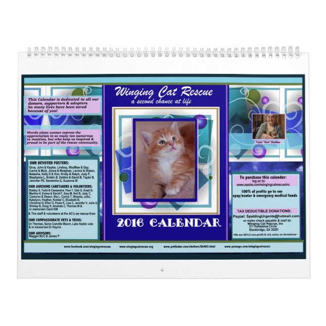 Winging Katze retten Sie den 2016 Prämien-Kalender Kalender (Titelbild)