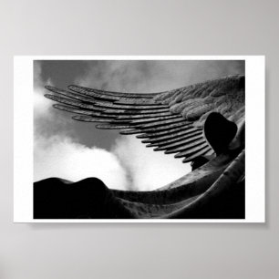 Wings above us poster