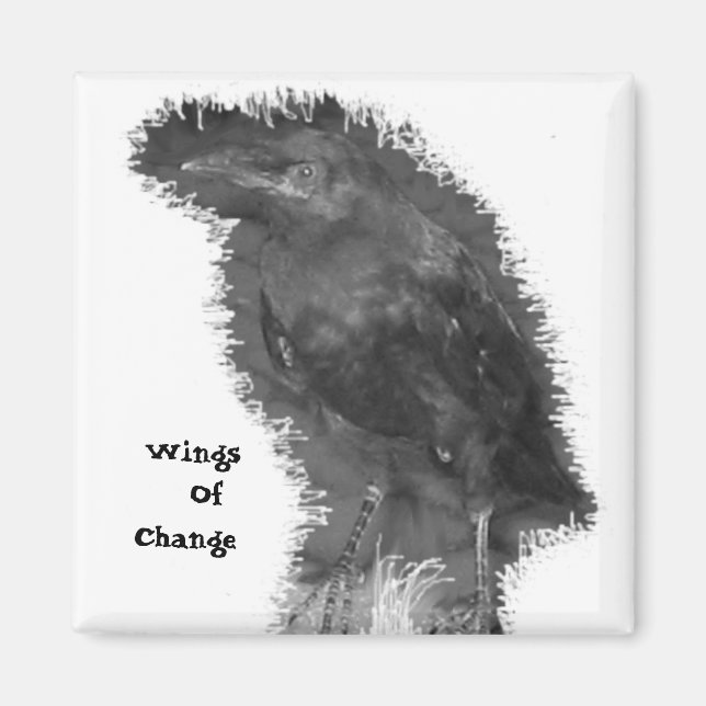 Wings of Change Magnet (Vorne)
