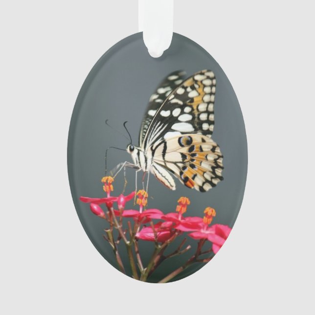 "Wings" Poesie Ornament (Vorderseite)