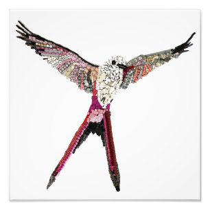 Wingspan-Bird aus Brettspielteilen Fotodruck