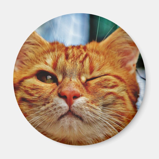 Wink kitty magnet (Vorne)