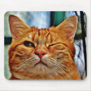 Wink-Miezekatze Mousepad