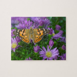 Winkelflügel-Schmetterling auf Kegelblume Puzzle