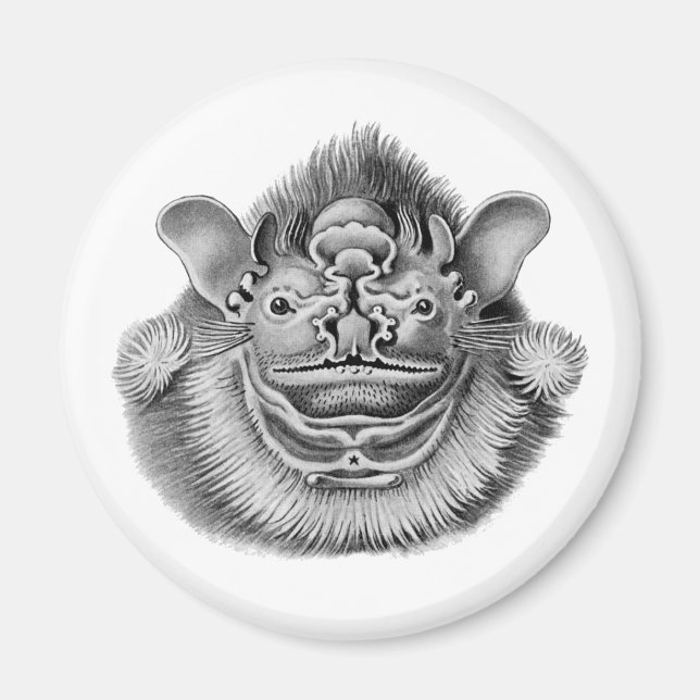 Winkelgeflecht Magnet (Vorne)