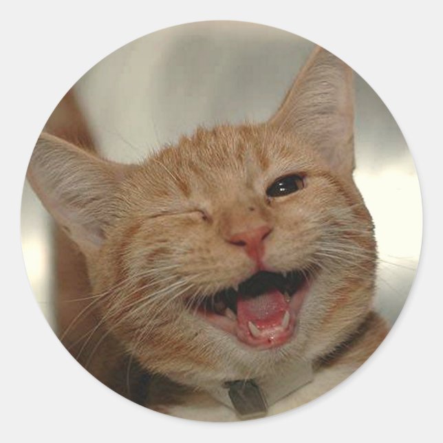 Winking Happy Ginger Cat Runder Aufkleber (Vorderseite)