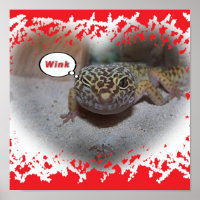 Winking Leopard Gecko Lizard Poster