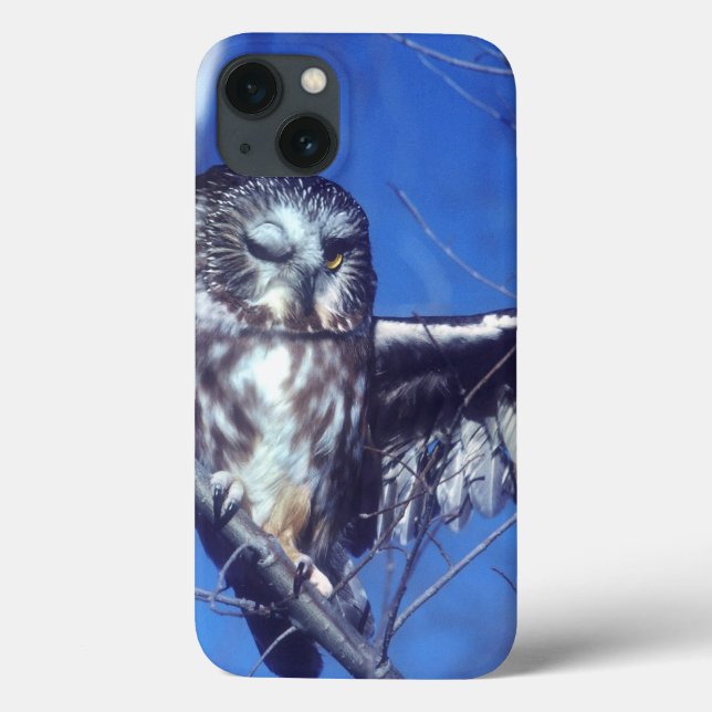 Winking owl Case-Mate iPhone hülle (Rückseite)