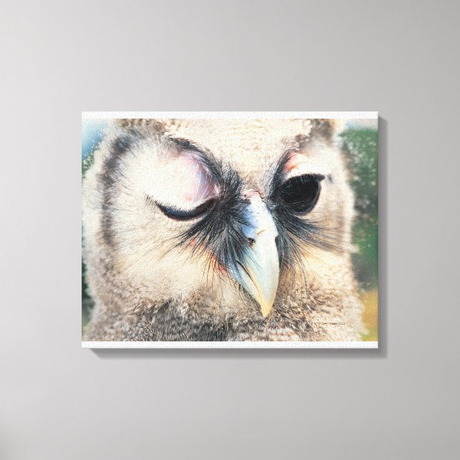 Winking Owl Leinwanddruck (Vorderseite)