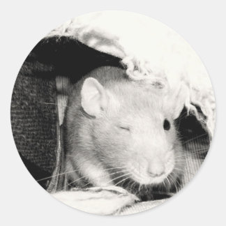 Winking Rat! Runder Aufkleber