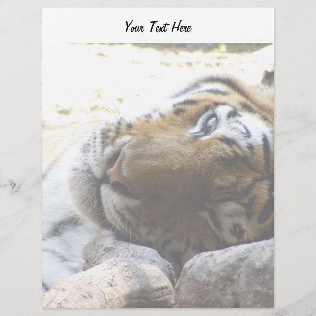 Winking Tiger (Vorderseite)