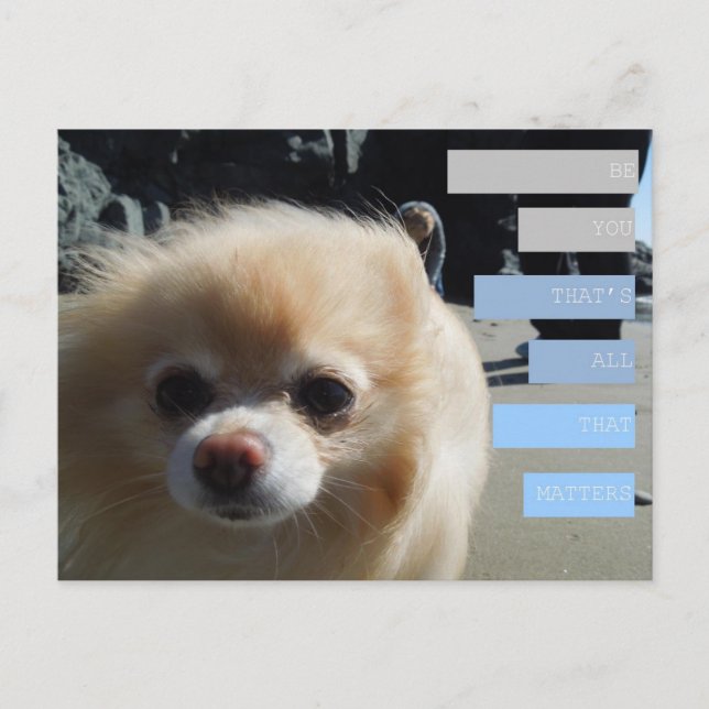 Winnie's Quotes Postkarte (Vorderseite)