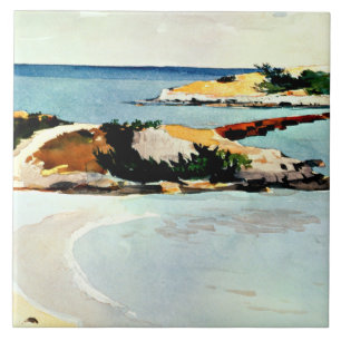 Winslow Homer - Galeainsel Fliese