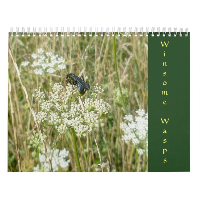 Winsome Wasps Calendar Kalender (Titelbild)