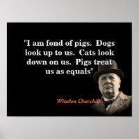 Winston Churchill Zitat über Schweine