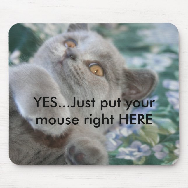 Winston die Katze Mousepad (Vorne)
