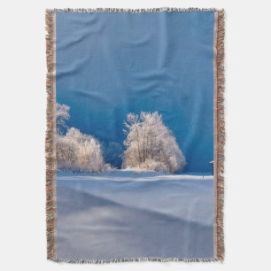 Winter 2019/07 decke