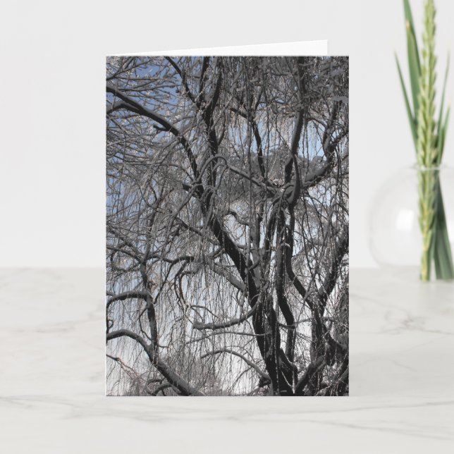 Winter ~ 24 feiertagskarte (Vorderseite)