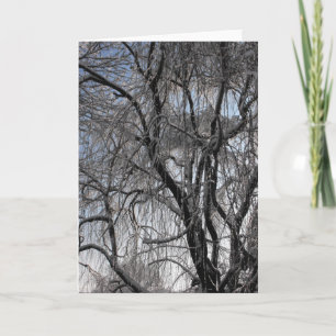 Winter ~ 24 feiertagskarte