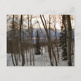 Winter-Abends-Postkarte Postkarte