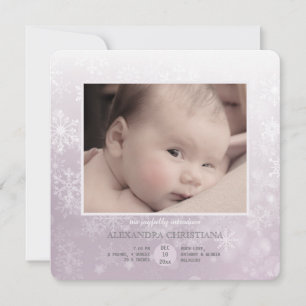 Winter-Ankunfts-Rose Quadrat. Ankündigung