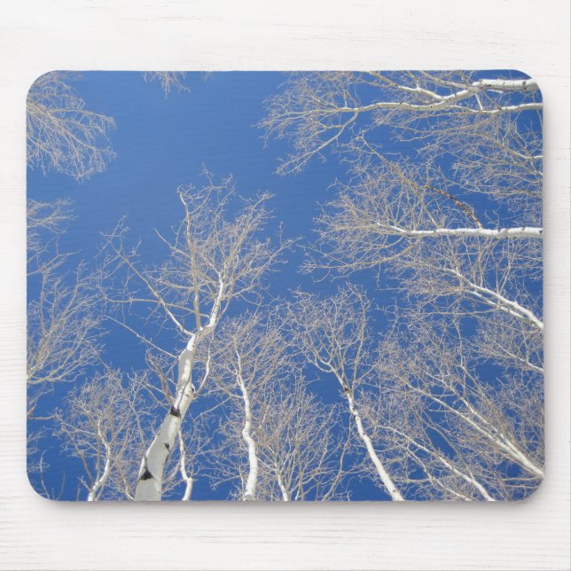 Winter Aspen Trees Mousepad (Vorne)