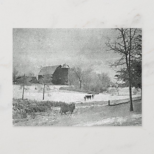 Winter auf dem Bauernhof Postkarte (Vorderseite)