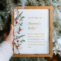 Winter Baby Dusche Wie groß ist Mommy's Bauchzeich
