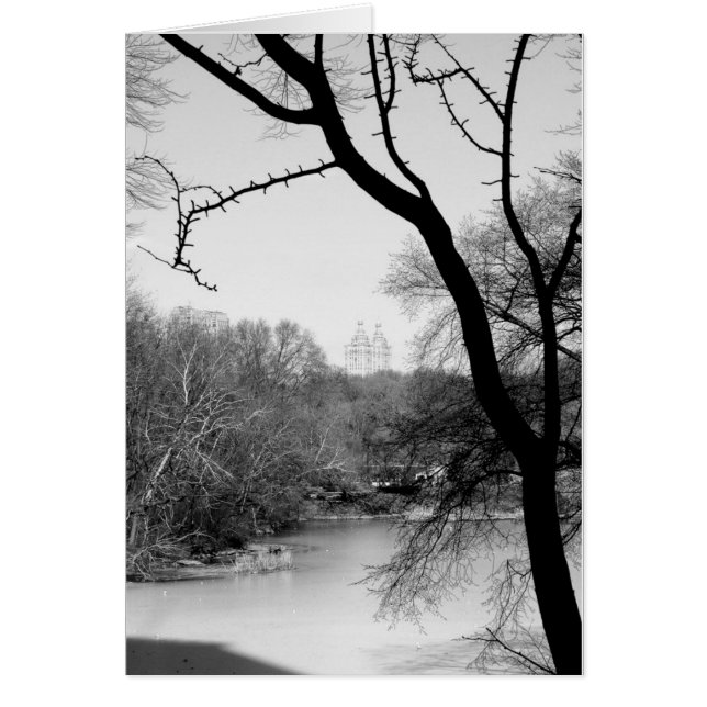 Winter-Baum - Central Park NYC (Vorne)