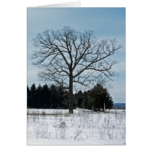 Winter-Baum-Karte