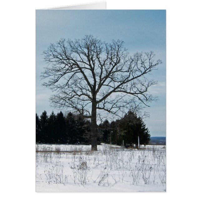 Winter-Baum-Karte (Vorne)