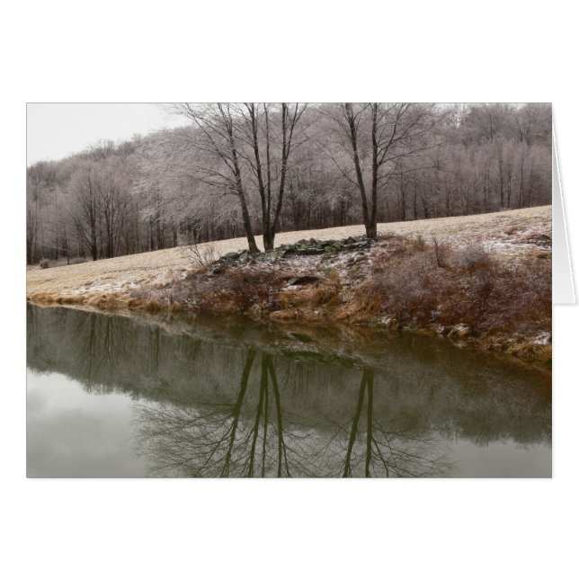 Winter-Bäume reflektiert (Vorderseite (Horizontal))