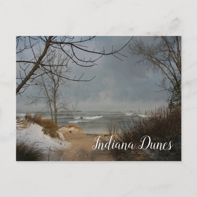 Winter Beach, Lake, Indiana Dunes Ntl.Lakeshore Postkarte (Vorderseite)