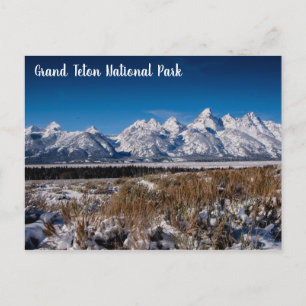 Winter bei Grand Teton NP Postkarte