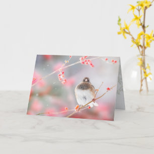 "Winter Berry Junco", 5" x 7" Faltschachtel-Grußka Karte