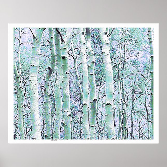 Winter Birch Poster (Vorne)