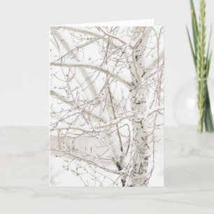 Winter Birch Tree - Ihren Gruß hinzufügen Feiertagskarte