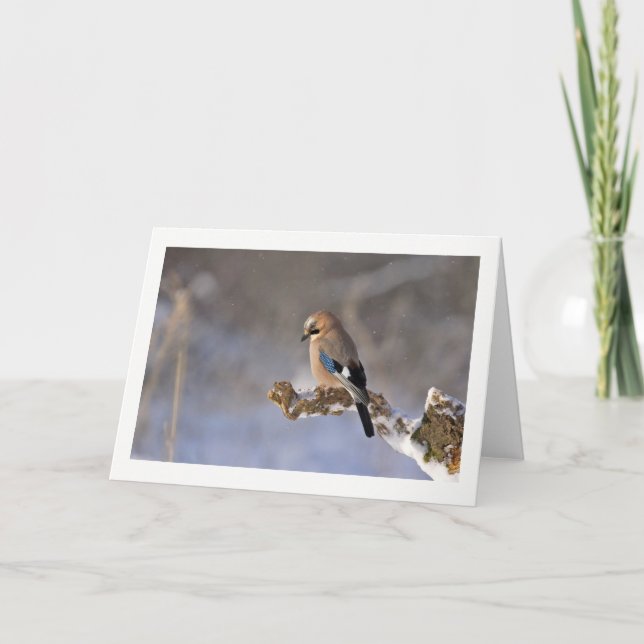 Winter Bird Greeting Card Feiertagskarte (Vorderseite)