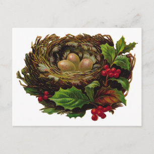 Winter Bird Nest Postkarte