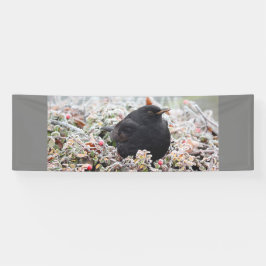Winter Blackbird Banner
