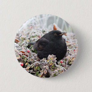 Winter Blackbird Button