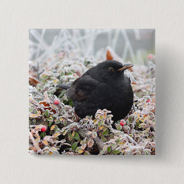 Winter Blackbird Button