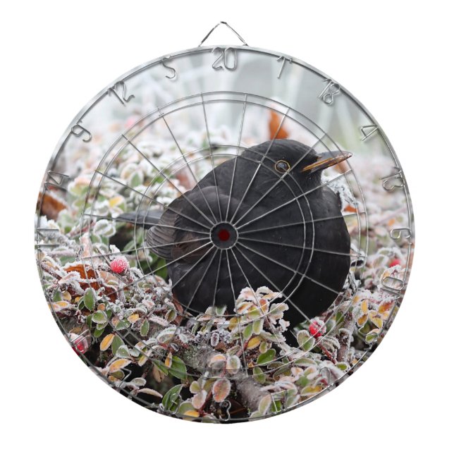 Winter Blackbird Dartscheibe (vorne)
