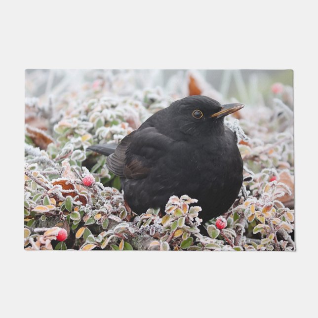 Winter Blackbird Fußmatte (Vorderseite)