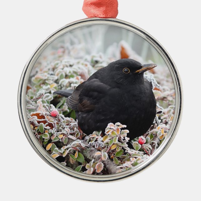 Winter Blackbird Keramik Ornament Aus Metall (Vorne)