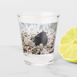 Winter Blackbird Schnapsglas